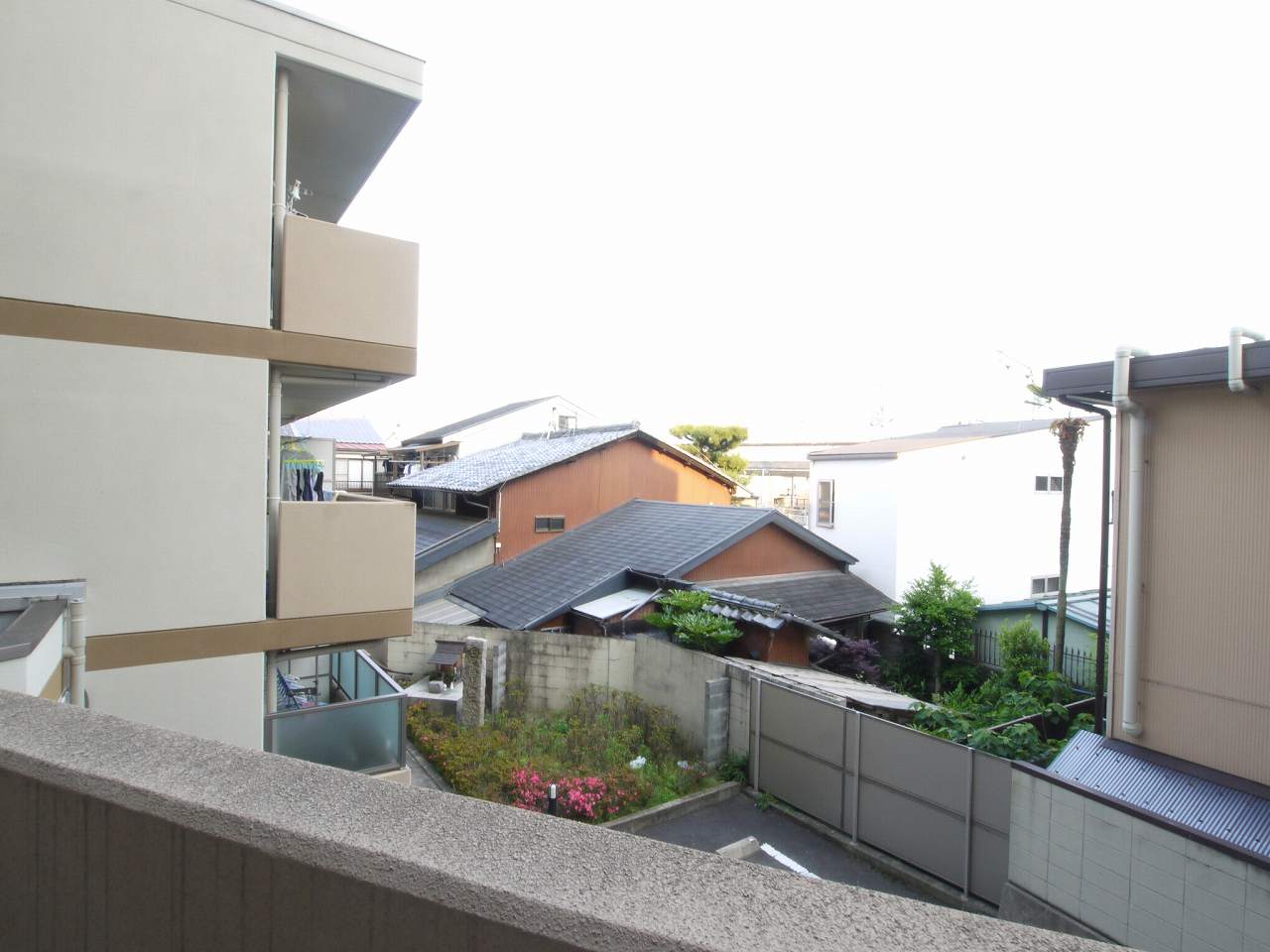 13/24 その他画像