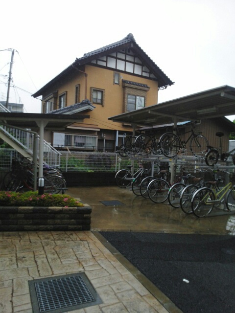 13/19 その他画像