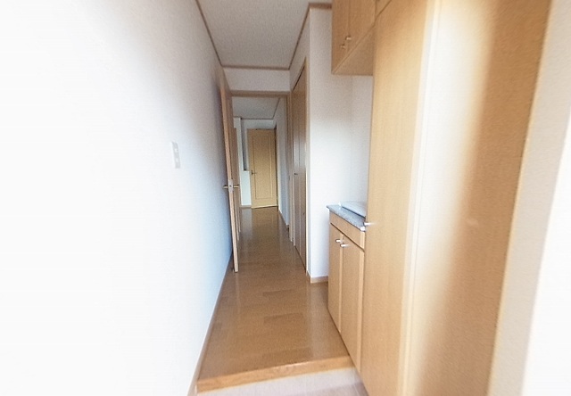 8/14 その他画像