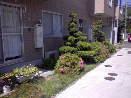 3/20 その他画像