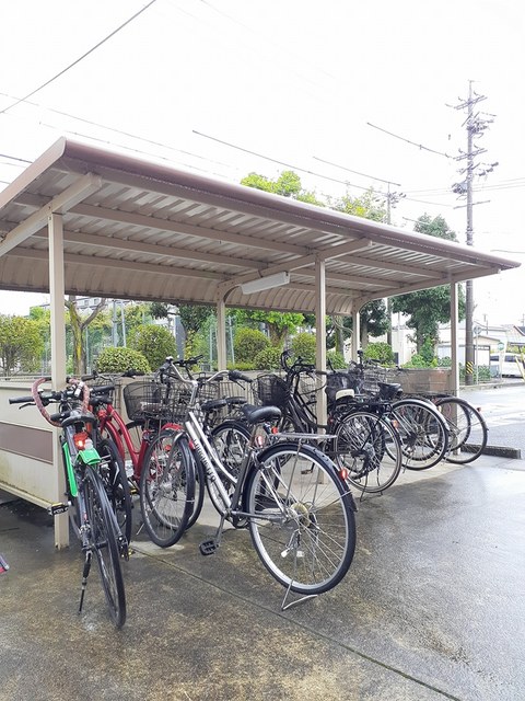 11/20 その他画像