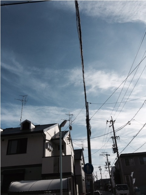 11/22 その他画像