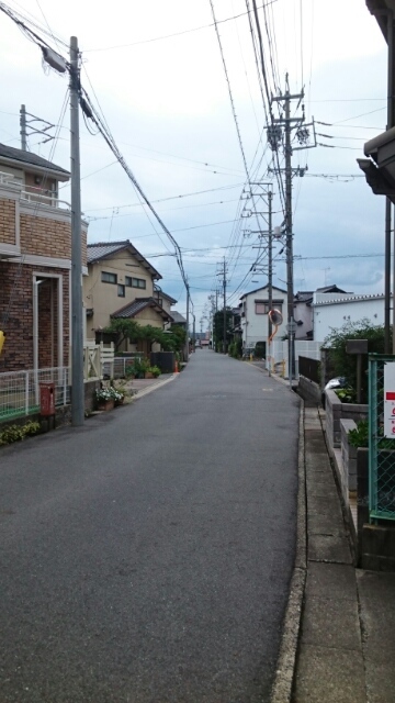 5/14 その他画像