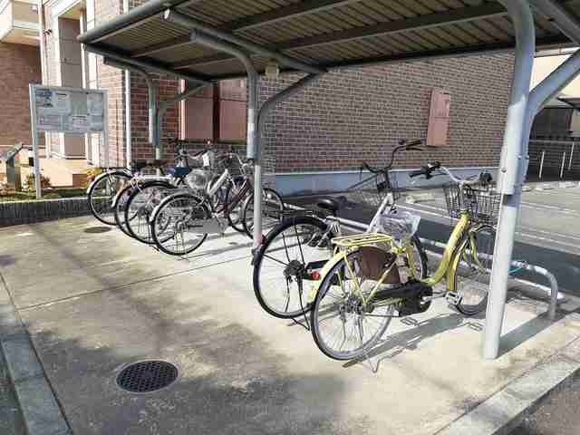 11/20 その他画像