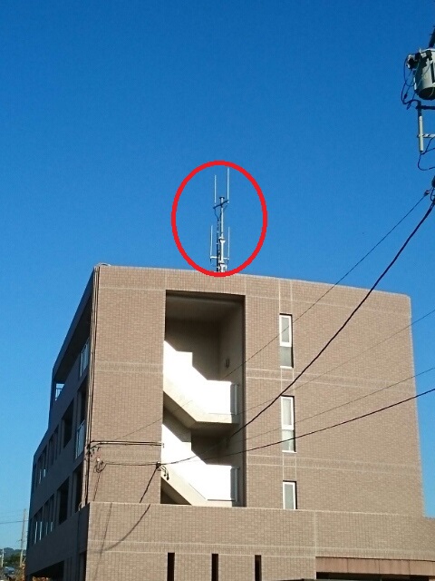 11/24 その他画像