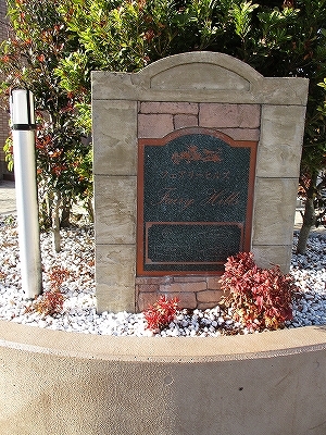 5/20 その他画像