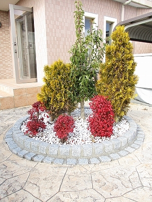 11/20 その他画像