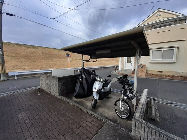 その他共有