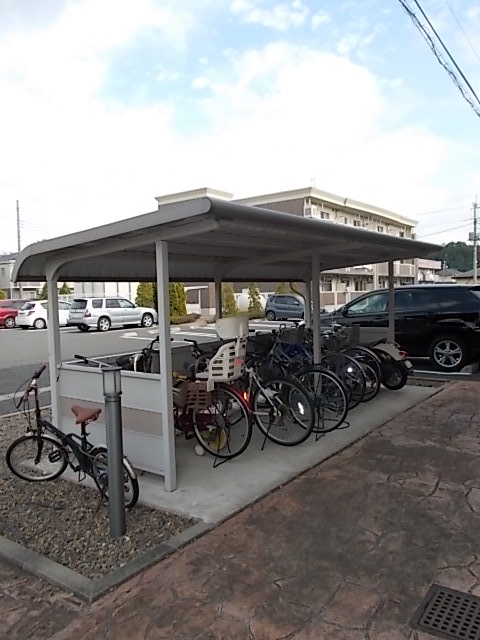 6/16 その他画像