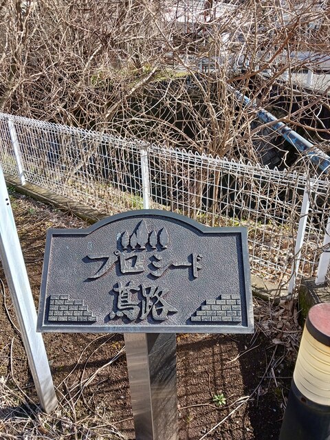 3/19 その他画像