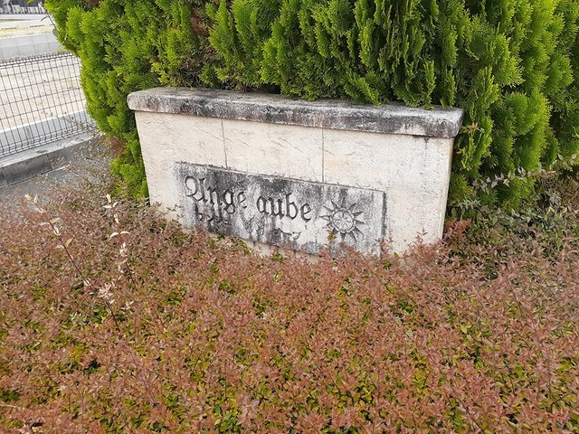 14/22 その他画像