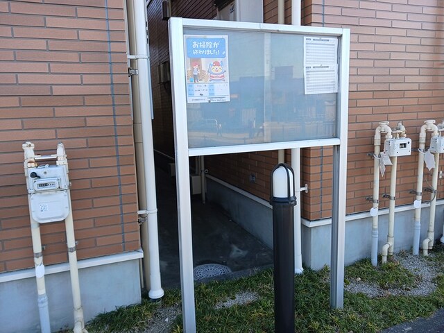 11/20 その他画像