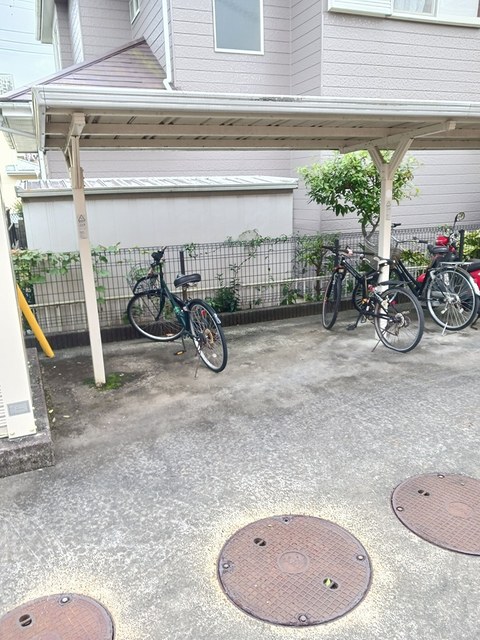 その他共有