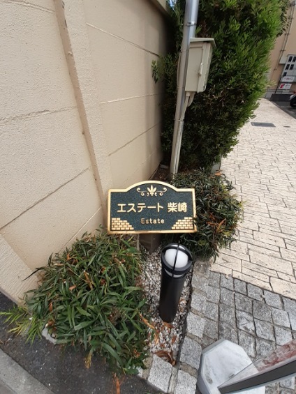 11/23 その他画像