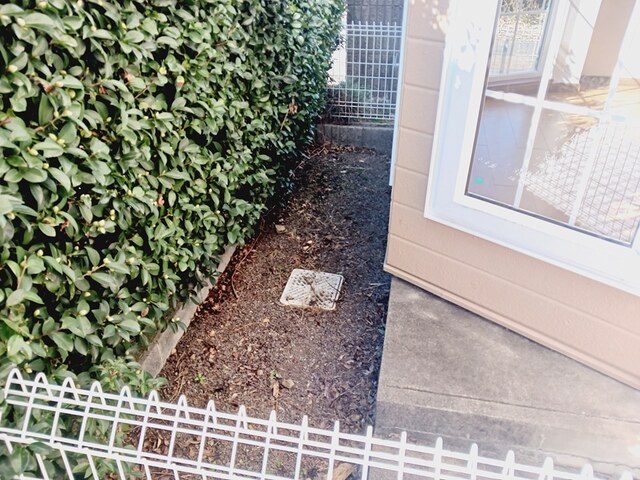 11/20 その他画像