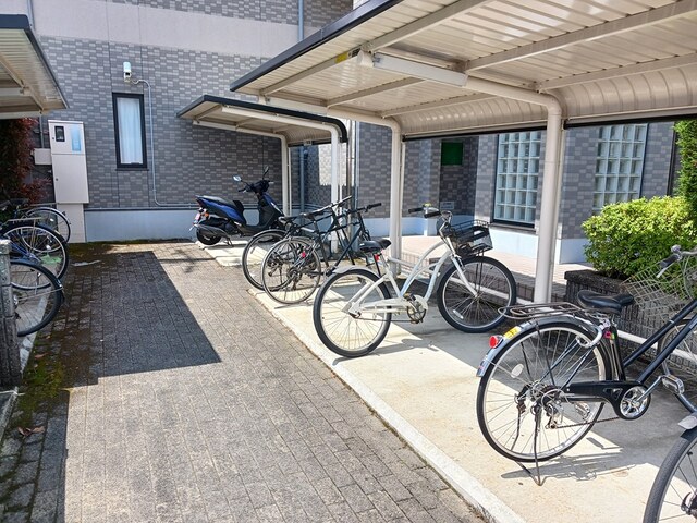 その他画像