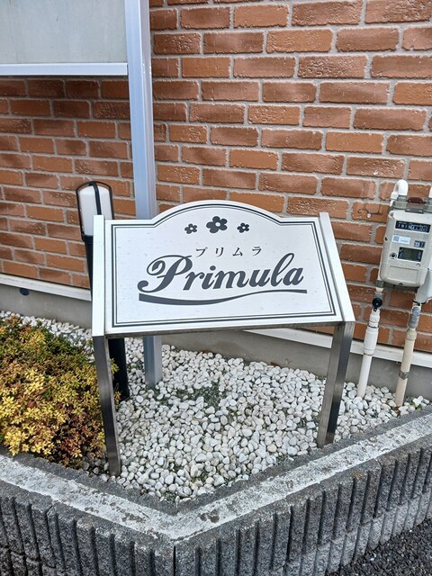 3/19 その他画像