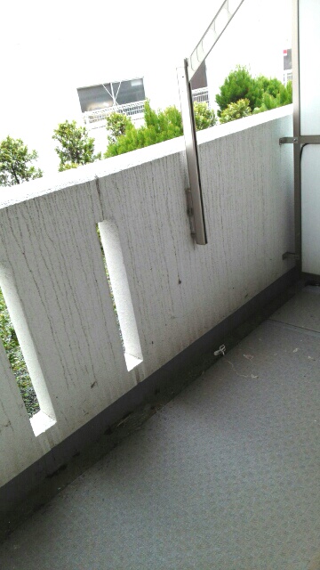 12/20 バルコニー