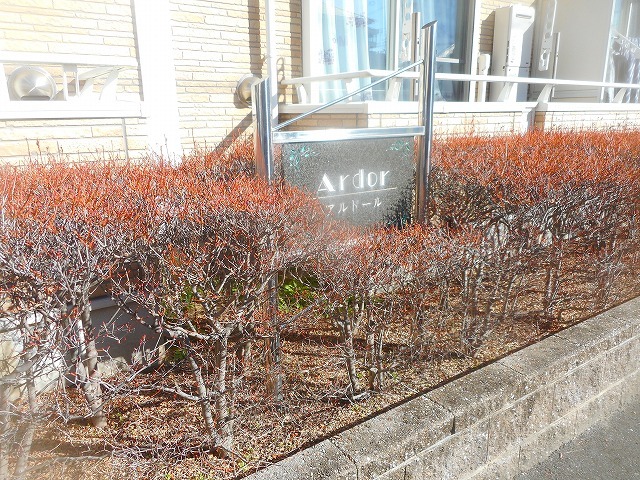 10/20 その他画像