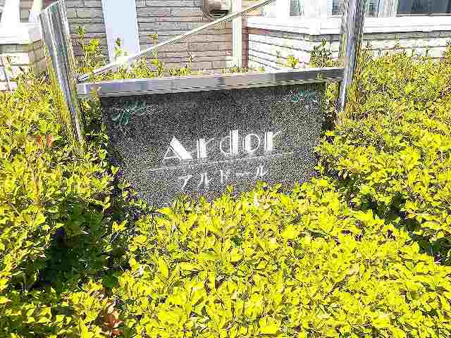 6/20 その他画像