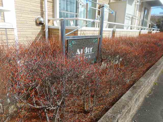 8/20 その他画像