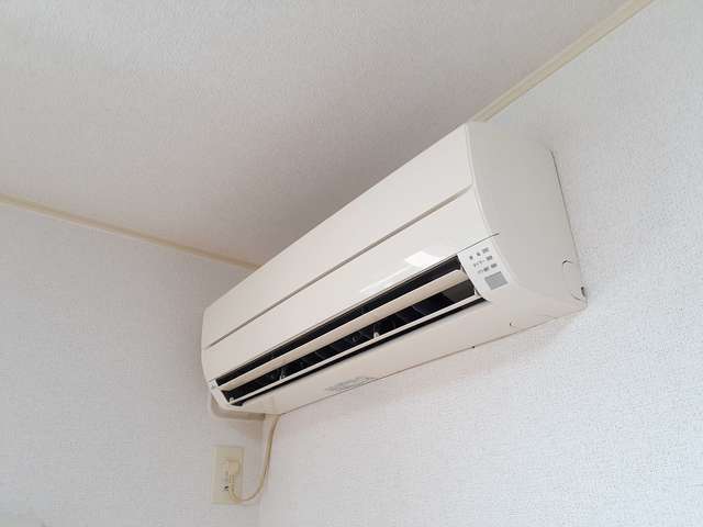 11/19 その他画像