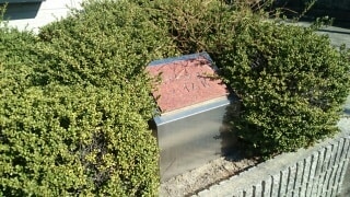 17/27 その他画像