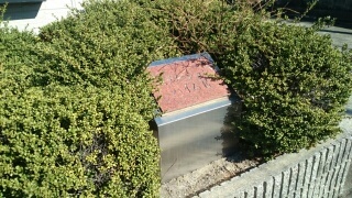 13/27 その他画像