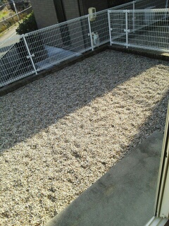 13/22 その他画像