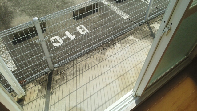 12/20 バルコニー