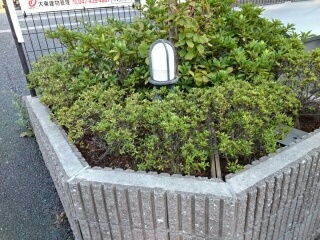 13/20 その他画像