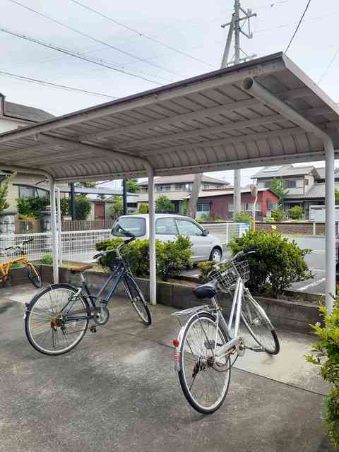 12/19 その他画像