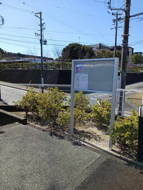 11/19 その他画像