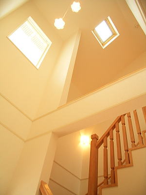 8/14 その他画像