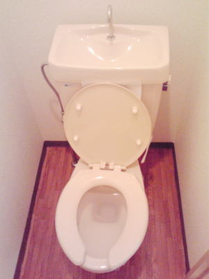 5/12 その他画像