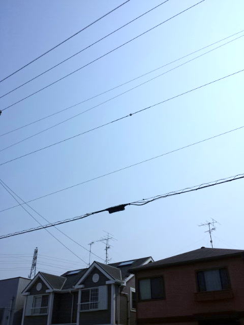 11/22 その他画像