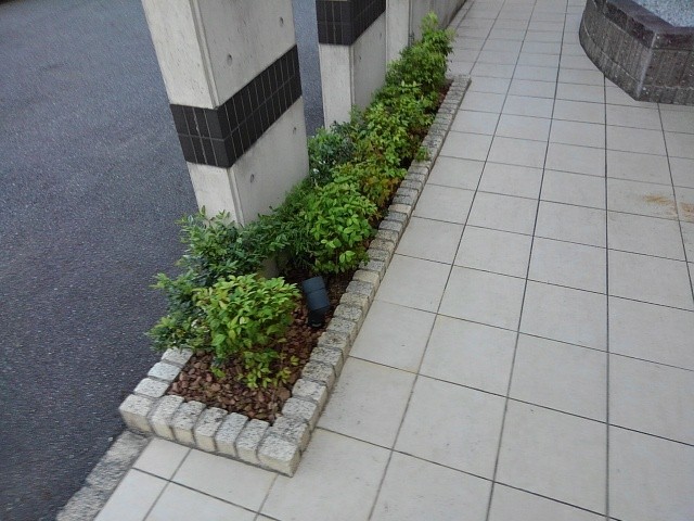 14/17 その他画像