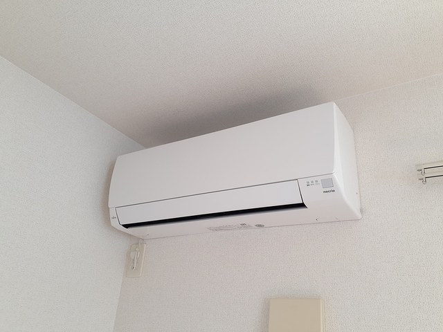 11/20 その他画像