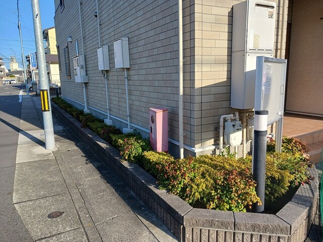 11/20 その他画像