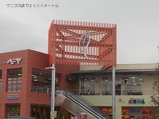 8/18 その他画像