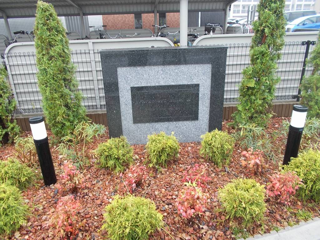 11/22 その他画像