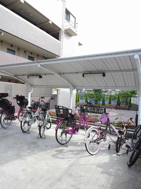 3/12 その他画像