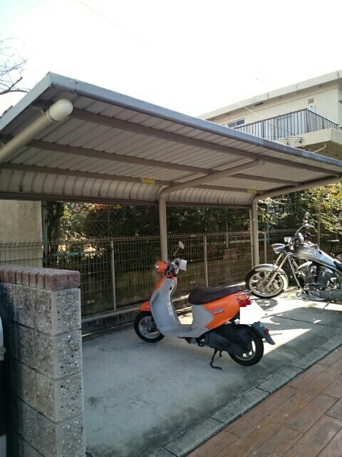 11/19 その他画像