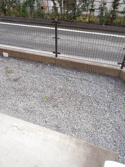 11/20 その他画像