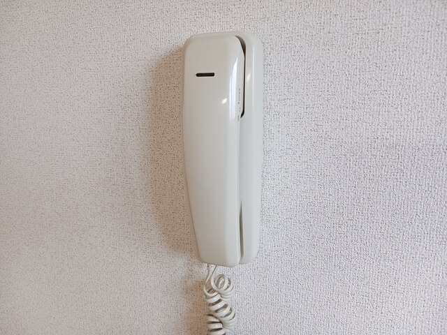 13/22 その他画像