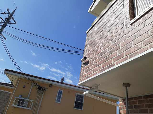 12/20 その他画像