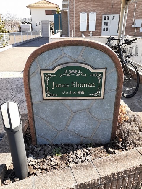 5/20 その他画像