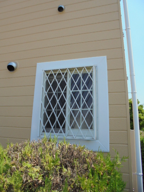 19/26 その他画像