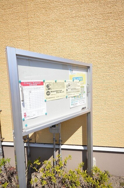 11/20 その他画像