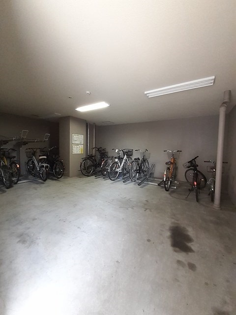 13/22 その他画像